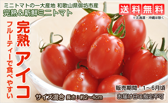 完熟ミニトマト アイコ 2kg ロケットトマト 和歌山の農家産直通販 販売 和味
