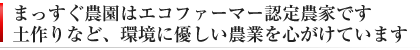 和歌山県の梅農家「まっすぐ農園」