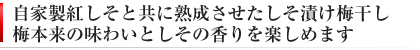 自家製のしそと共に漬け込んだしそ漬け梅干し