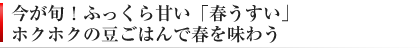 今が旬！ふっくら甘い「春うすい」