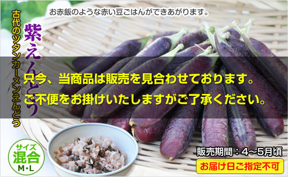 紫えんどう ツタンカーメンえんどう ２kg 和歌山の農家産直通販 販売 和味