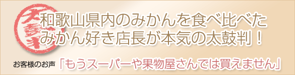 店長おすすめ太鼓判の若野みかん