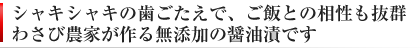 わさび醤油漬け