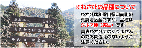 だるま種（実生）です。真妻わさびではありません