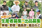 和歌山の生産者（農家）募集